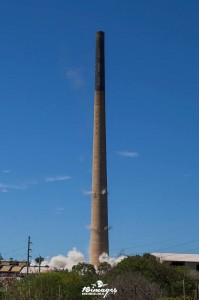 4.JPG